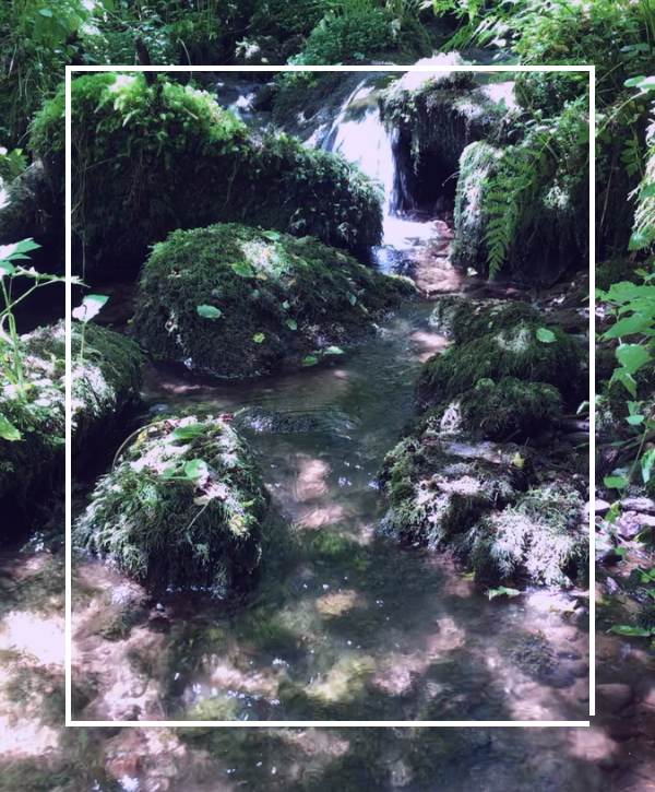 Kleiner Bach im Wald